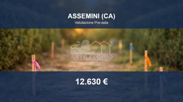 terreno agricolo in vendita ad Assemini in zona Macchiareddu