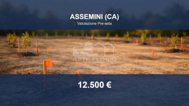 terreno agricolo in vendita ad Assemini in zona Macchiareddu