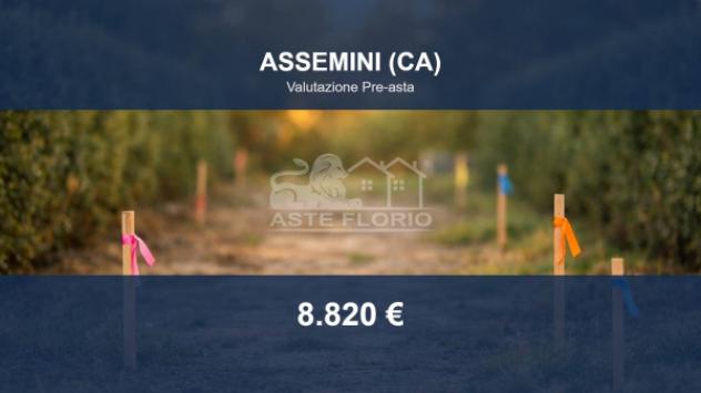 terreno agricolo in vendita ad Assemini in zona Macchiareddu