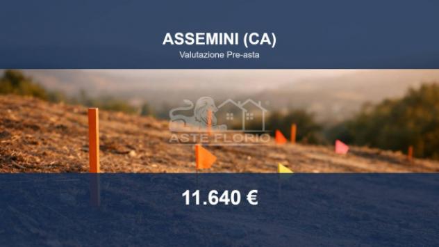 terreno agricolo in vendita ad Assemini in zona Macchiareddu