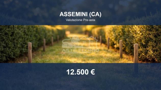 terreno agricolo in vendita ad Assemini in zona Macchiareddu