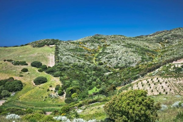 ufficio in vendita ad Assemini in zona Sant'Andrea