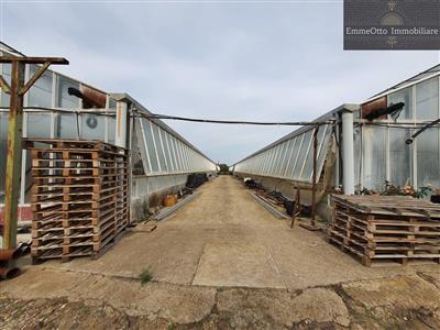 terreno agricolo in vendita a Cagliari in zona Monreale