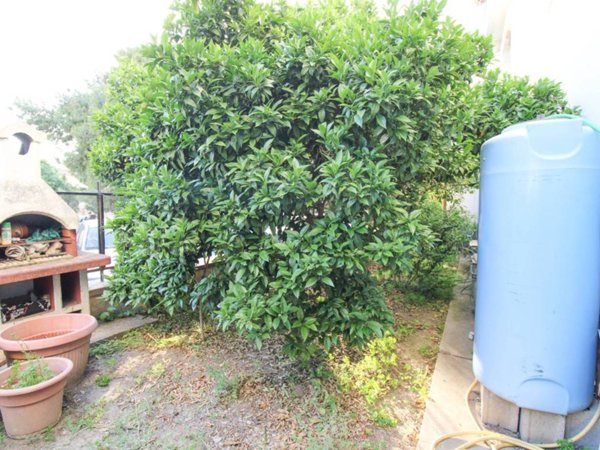 appartamento in vendita a Cagliari in zona Fonsarda / zona Giudici