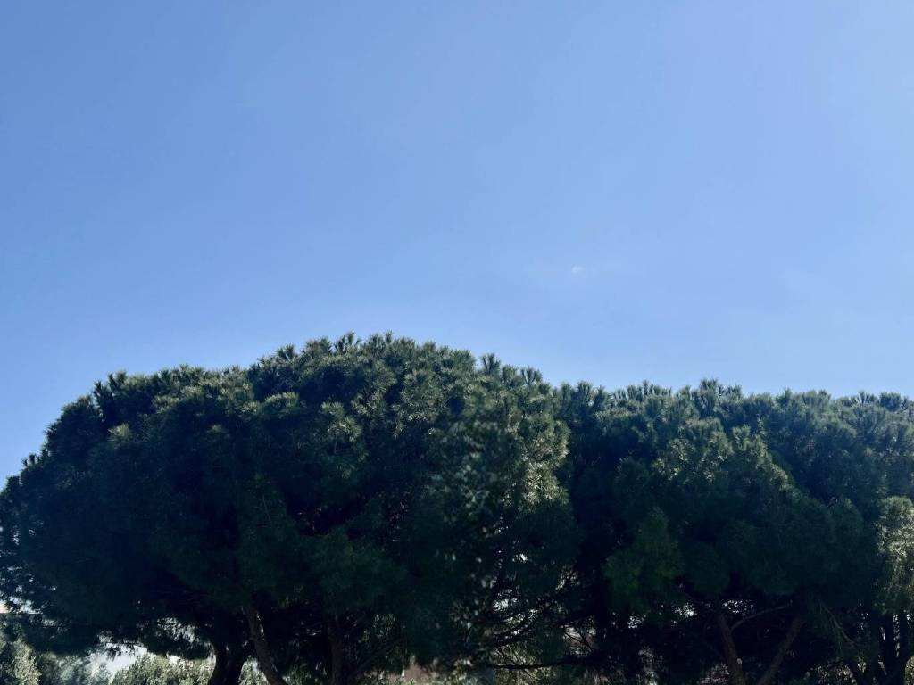 appartamento in vendita a Cagliari in zona Is Mirrionis/San Michele
