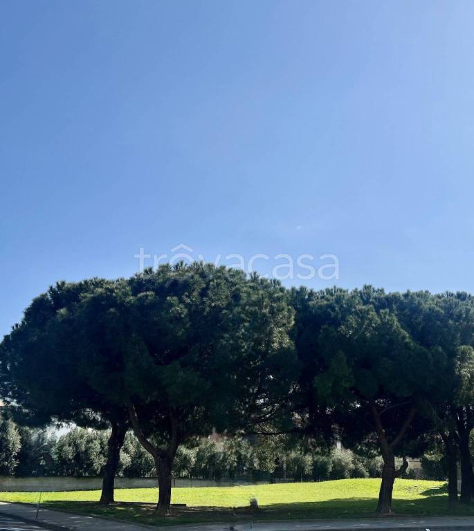 appartamento in vendita a Cagliari in zona Mulinu Becciu