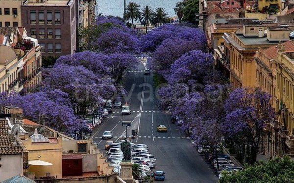 appartamento in vendita a Cagliari in zona Marina