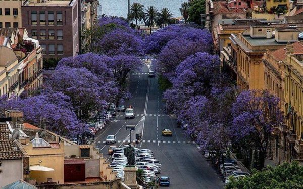 appartamento in vendita a Cagliari in zona Stampace/Punici