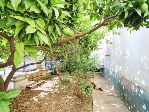 appartamento in vendita a Cagliari in zona Fonsarda / zona Giudici