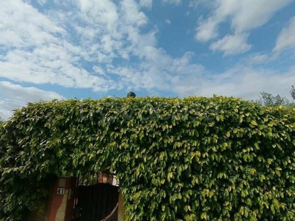 appartamento in vendita a Cagliari in zona Barracca Manna