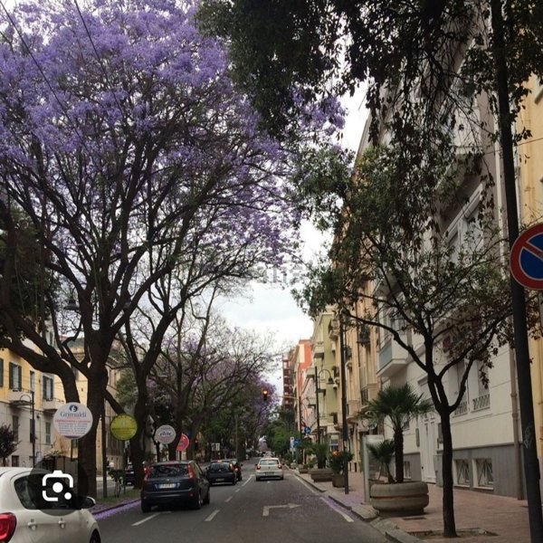 appartamento in vendita a Cagliari