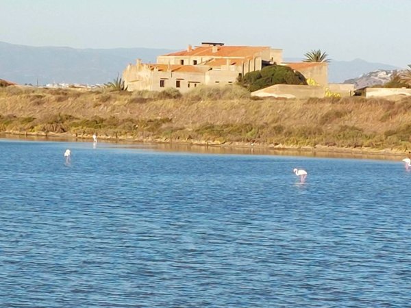 intera palazzina in vendita a Cagliari in zona Sant'Avendrace
