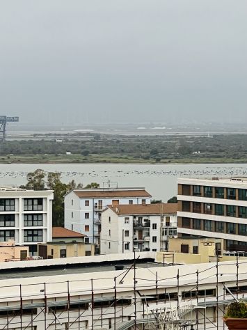 appartamento in vendita a Cagliari in zona Tuvixeddu/Tuvumannu
