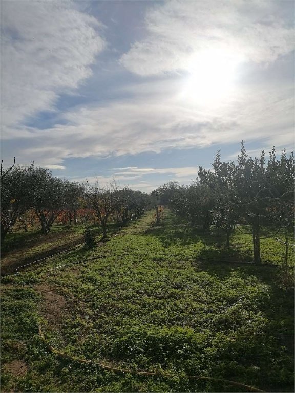 terreno agricolo in vendita a Capoterra