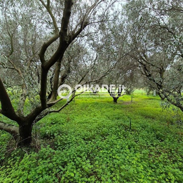terreno agricolo in vendita a Capoterra