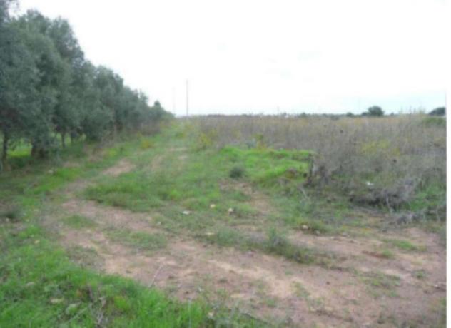terreno edificabile in vendita a Capoterra in zona La Maddalena