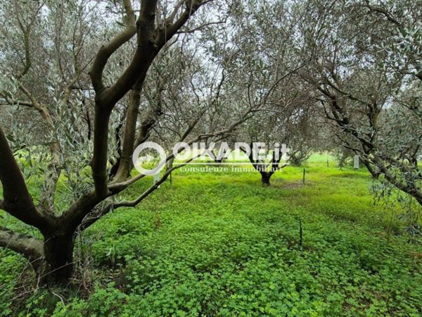 terreno agricolo in vendita a Capoterra