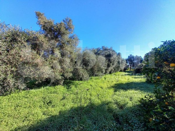 casa indipendente in vendita a Capoterra