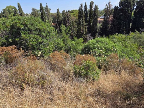 terreno agricolo in vendita a Capoterra in zona Poggio dei Pini