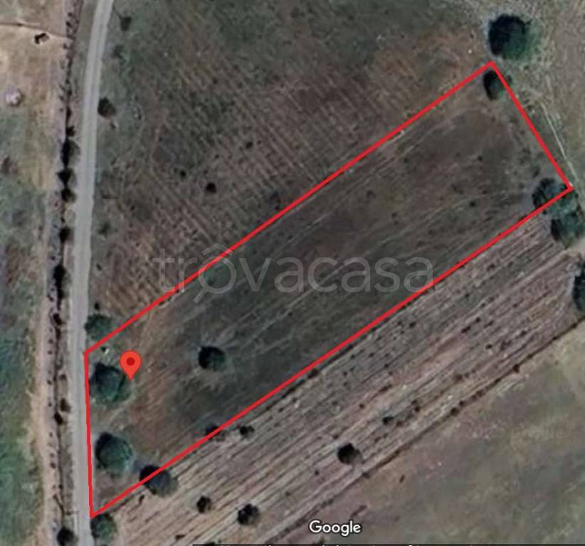 terreno agricolo in vendita a Decimomannu