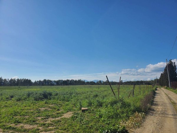 terreno agricolo in vendita a Decimomannu