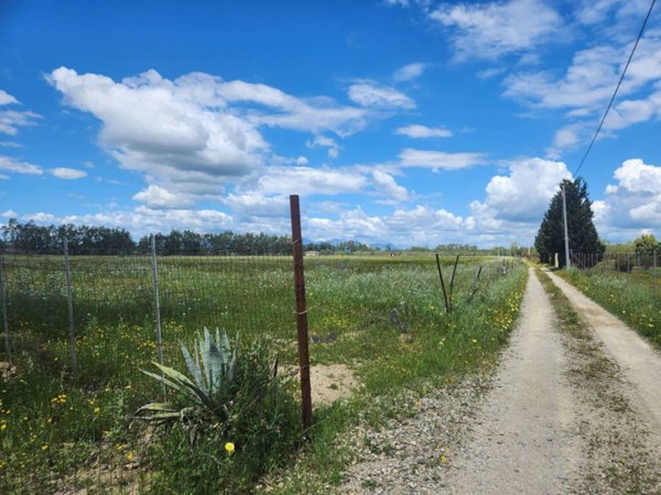 terreno agricolo in vendita a Decimomannu