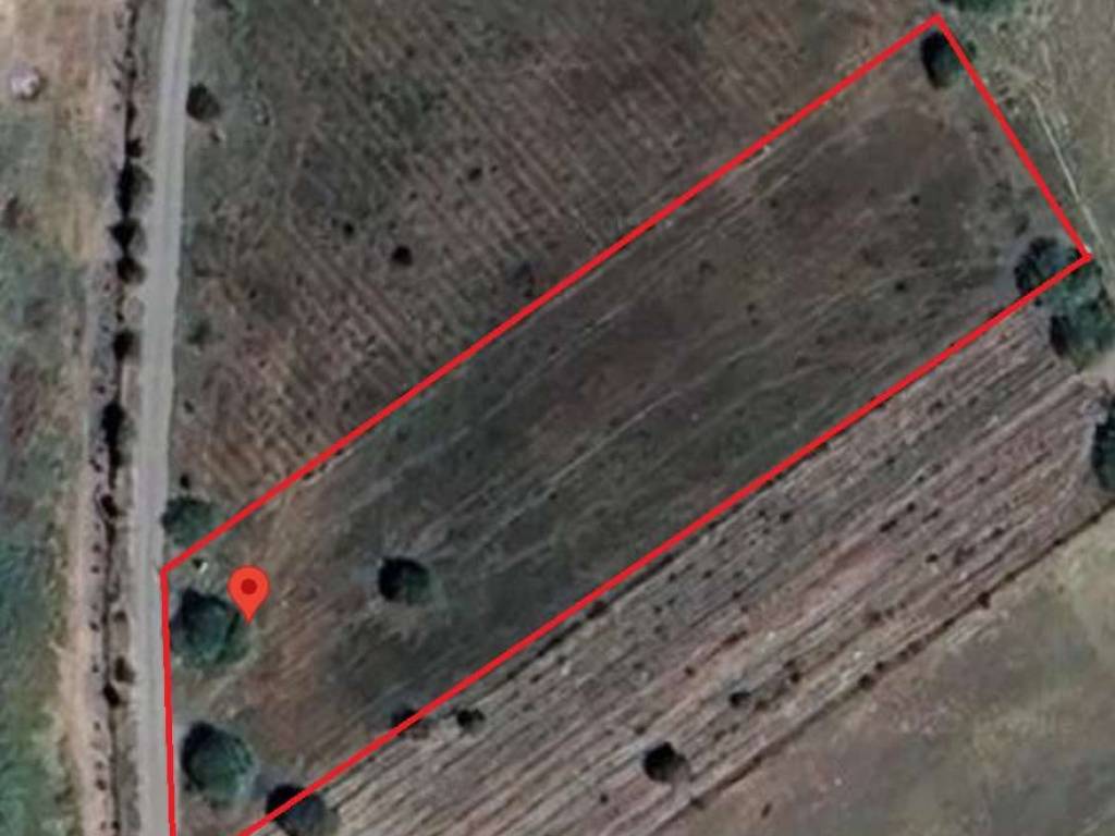 terreno agricolo in vendita a Decimomannu