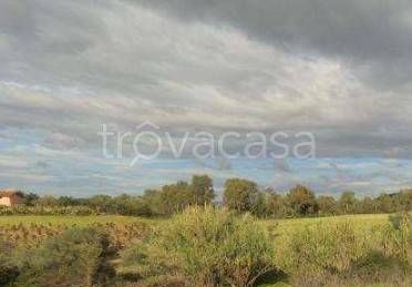 terreno industriale in vendita a Decimomannu