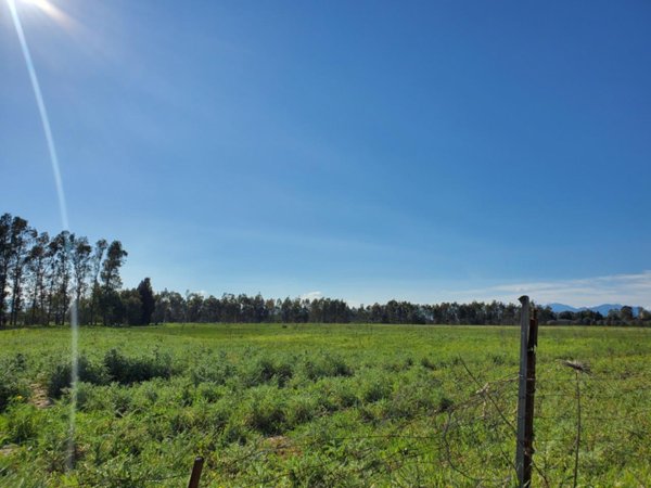 terreno edificabile in vendita a Decimomannu