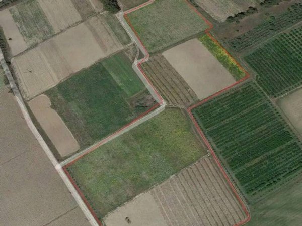 terreno agricolo in vendita a Decimomannu