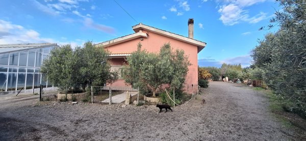 quadrivano in vendita a Decimomannu