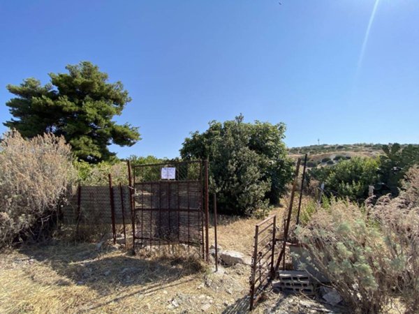terreno agricolo in vendita a Maracalagonis