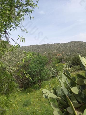terreno agricolo in vendita a Maracalagonis in zona Torre delle Stelle