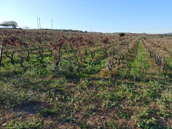 terreno agricolo in vendita a Maracalagonis