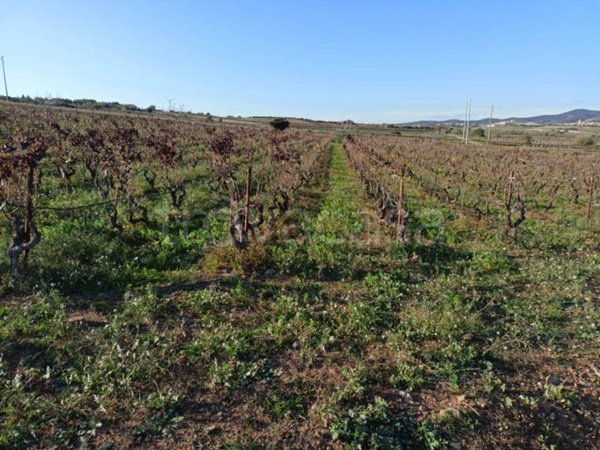 terreno agricolo in vendita a Maracalagonis