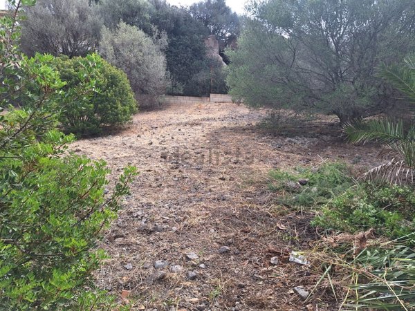 appartamento in vendita a Maracalagonis