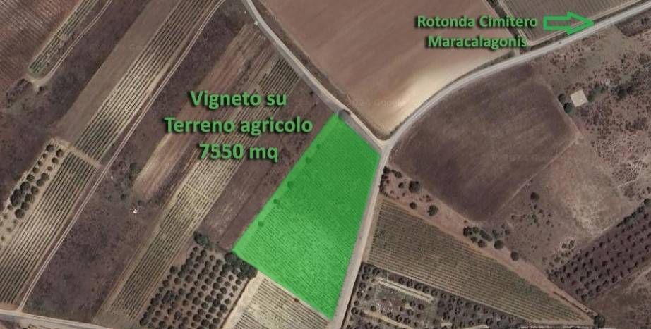 terreno agricolo in vendita a Maracalagonis