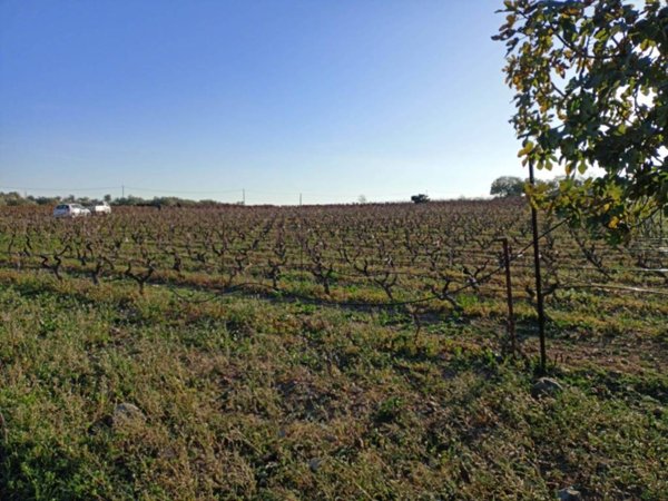 terreno agricolo in vendita a Maracalagonis