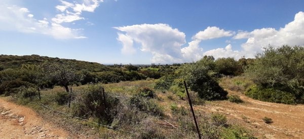 terreno agricolo in vendita a Maracalagonis