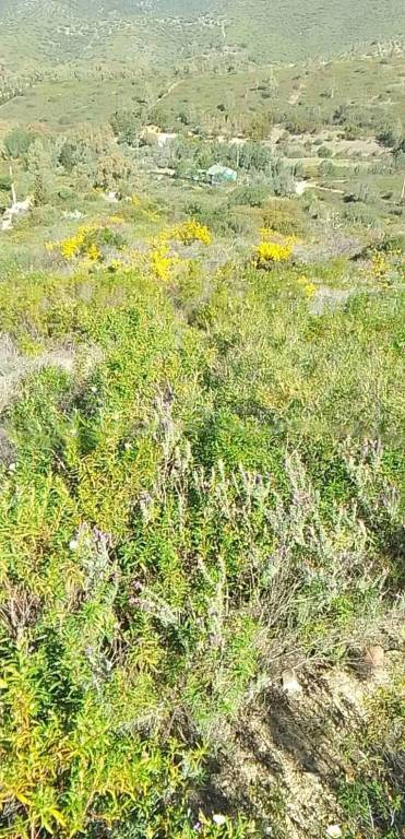 terreno edificabile in vendita a Maracalagonis