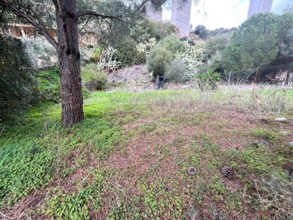 terreno agricolo in vendita a Maracalagonis
