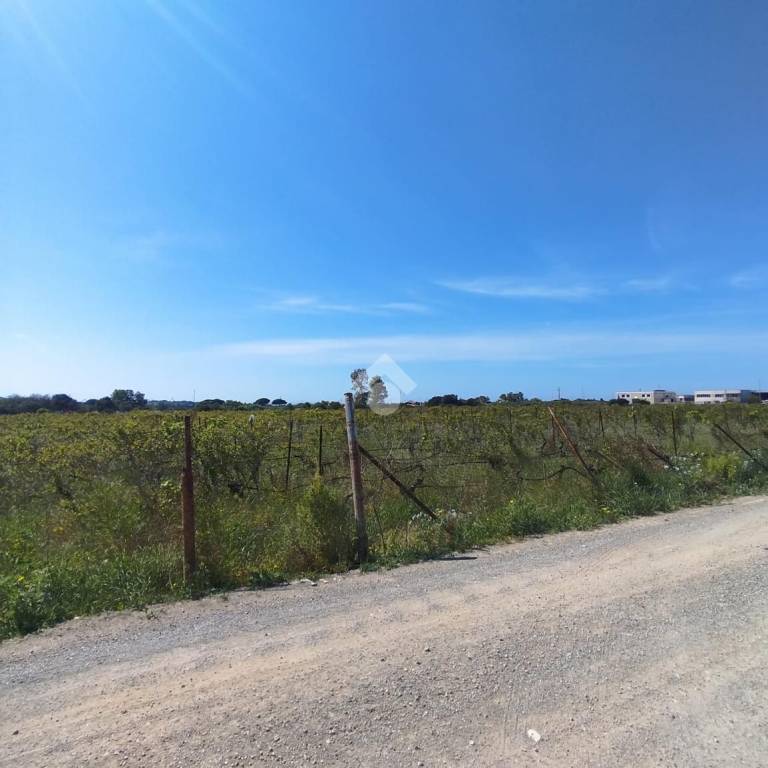 terreno agricolo in vendita a Maracalagonis