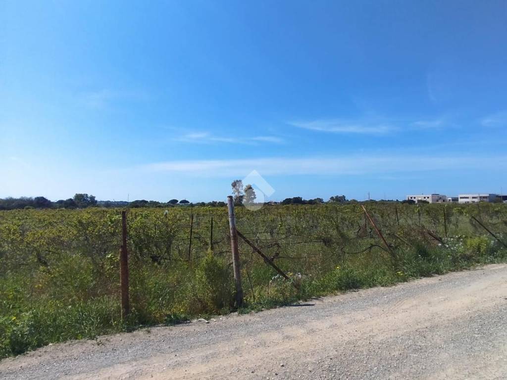terreno agricolo in vendita a Maracalagonis