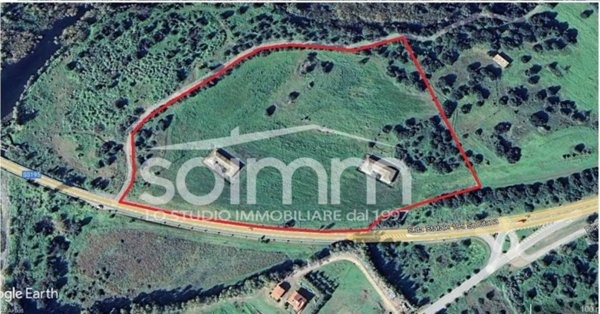 azienda agricola in vendita a Pula