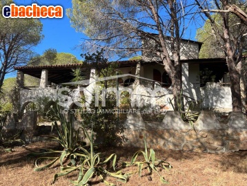 casa indipendente in vendita a Pula