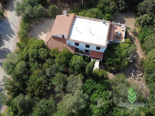 casa indipendente in vendita a Pula