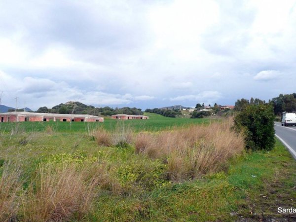 terreno agricolo in vendita a Pula