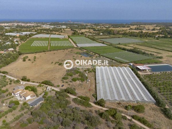 terreno agricolo in vendita a Pula