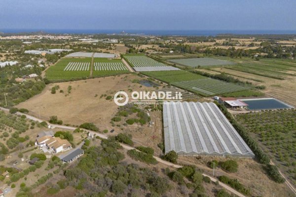 terreno agricolo in vendita a Pula