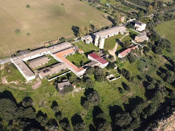 azienda agricola in vendita a Pula